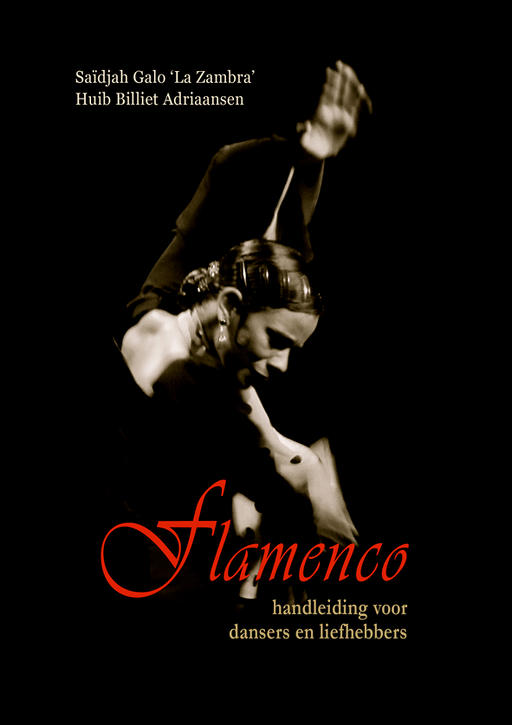 Flamenco - Handleiding voor dansers en liefhebbers