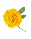 flamenco bloem geel