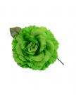 Flamenco bloem lightgroen