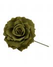 Flamenco bloem groen