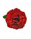 Flamenco bloem donkerrood