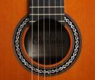  Cordoba C10 CD/IN nylon snaren gitaar
