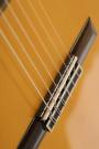 Cordoba C7 nylon snarige gitaar