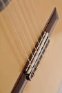 Cordoba F7 Flamenco gitaar