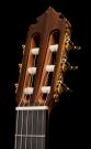 Graciliano Perez Flamenco Guitar negra 2024 concert