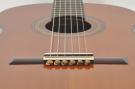 String tie amber bruin