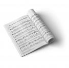 Camaron partiturenboek voor gitaar met zangmelodieën