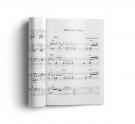 Flamenco piano bladmuziek boek voor soleá