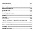 Meesters der flamenco gitaristen boek deel 2