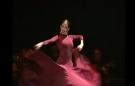 Pack flamenco dans dvd lessen uit het conservatorium van Madrid  DVD 1 2 3