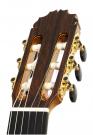 Gitaar Reyes grand concert flamenco cipres