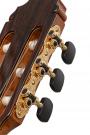 Gitaar Reyes grand concert flamenco cipres