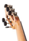 Mijail Kharash flamenco gitaar