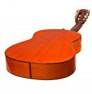 Antonio Torres Dorado concert flamenco gitaar