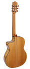 Salvador Cortez flamenco gitaar Fishman pickup 
