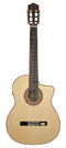 Salvador Cortez flamenco gitaar Fishman pickup 