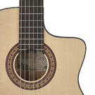 Salvador Cortez flamenco gitaar Fishman pickup 