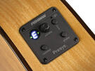 Salvador Cortez flamenco gitaar Fishman pickup 