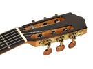 Salvador Cortez flamenco gitaar Fishman pickup 