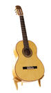 Flamenco gitaar Manuel Romero