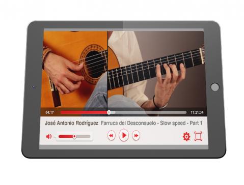 Flamenco guitar video lessons