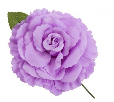 Flamenco flower purple