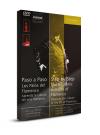 Flamenco danslessen Taranto DVD