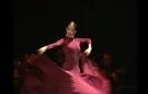 Alegrias + Guajira flamenco dans dvd lessen uit het conservatorium van Madrid vol 1