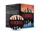 Flamenco, Flamenco (DVD) - Carlos Saura