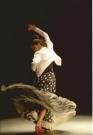 Seguiriya + Tango flamenco dans dvd lessen uit het conservatorium van Madrid vol 3