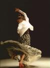 Pack flamenco dans dvd lessen uit het conservatorium van Madrid  DVD 1 2 3