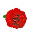 flamenco bloem rood